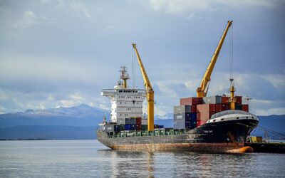 Studi Kasus Sukses Transformasi Supply Chain Digital